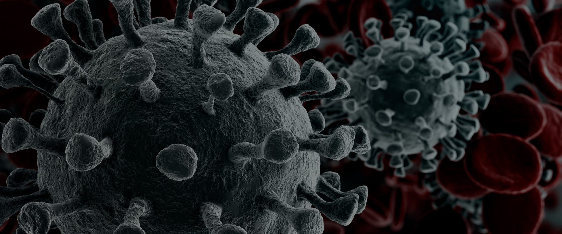 coronavirus_banner_home