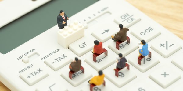 Miniature people Pay queue Annual income (TAX) for the year on c