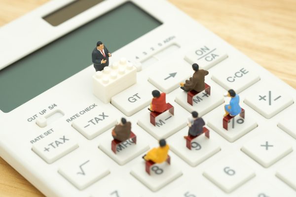 Miniature people Pay queue Annual income (TAX) for the year on c