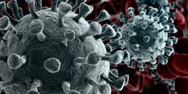 coronavirus_banner_pagina