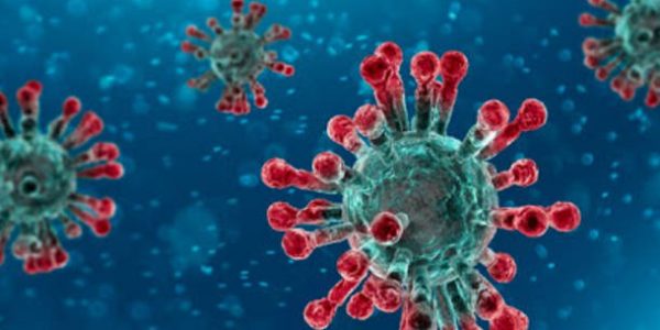 generico-2018-789585.610×431