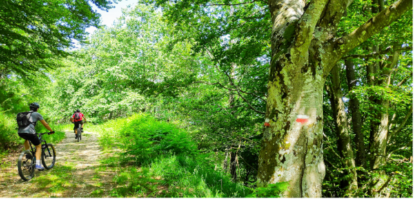 Valle-Savio-Bike-Hub-1280×720