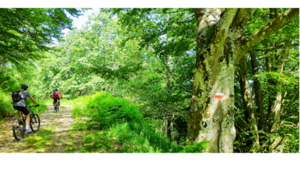 Valle-Savio-Bike-Hub-1280×720