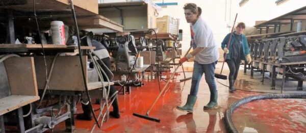 Alluvione_Emilia-Romagna_Servadei