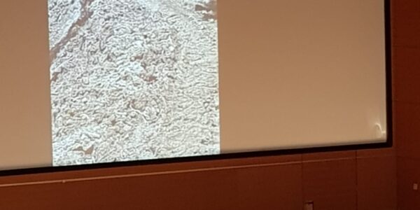 84cf04c0-41b1-4d6f-9ef2-7aff8133e4bd