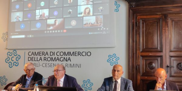 CAMERADICOMMERCIOROMAGNA