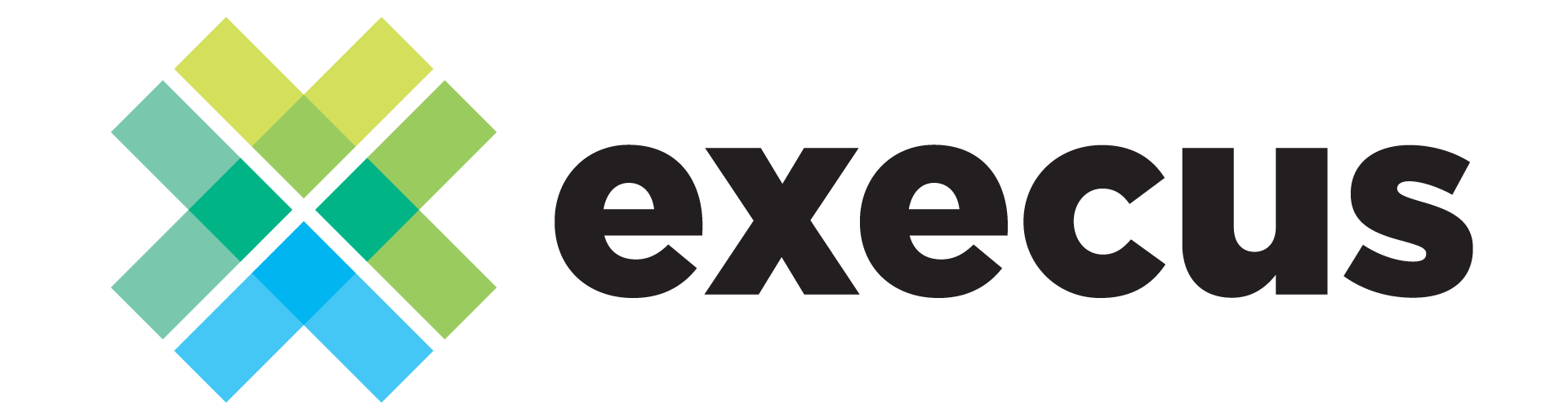 logo-execus