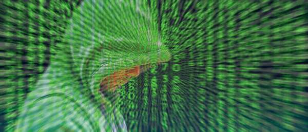 cyber-security-3410923_1280